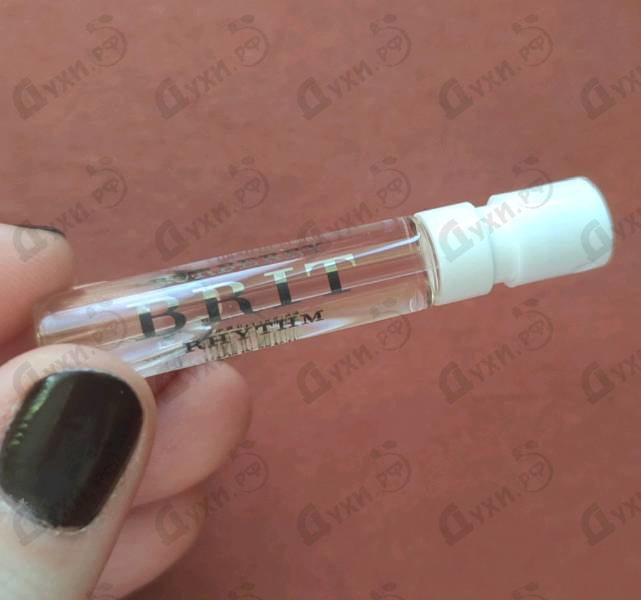 Купить Brit Rhythm от Burberry