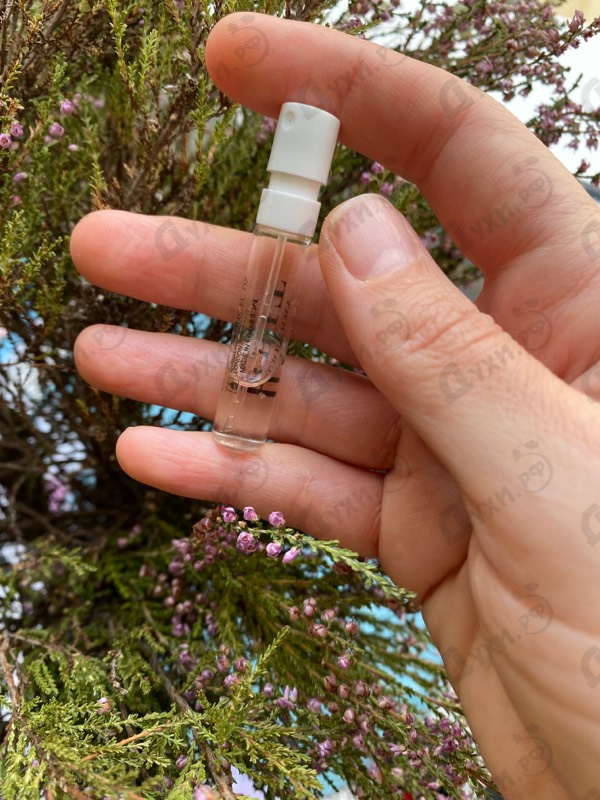 Отзывы Burberry Brit Rhythm