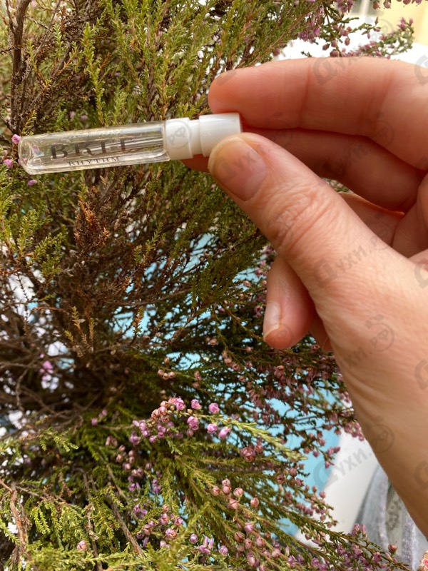 Отзывы Burberry Brit Rhythm