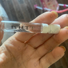 Отзыв Burberry Brit Rhythm