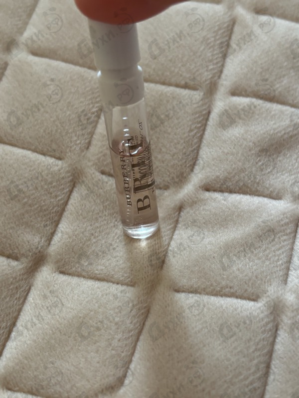 Купить Brit Rhythm от Burberry