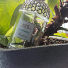 Парфюм Guerlain Aqua Allegoria Limon Verde