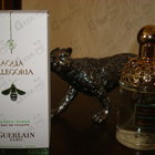 Отзыв Guerlain Aqua Allegoria Limon Verde
