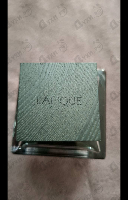 Купить Encre Noire Sport от Lalique