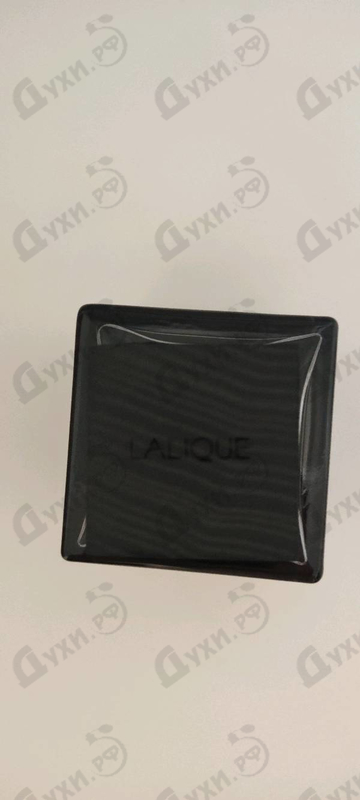 Купить Encre Noire Sport от Lalique