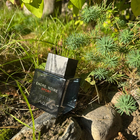 Отзывы Lalique Encre Noire Sport