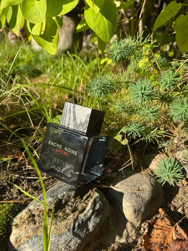 Отзыв Lalique Encre Noire Sport