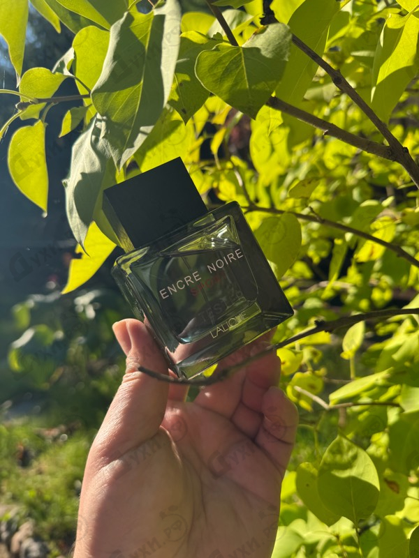 Парфюмерия Encre Noire Sport от Lalique