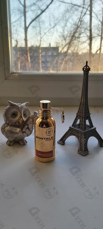 Купить Montale Orange Aoud