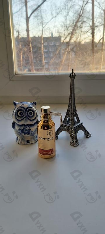 Отзывы Montale Orange Aoud
