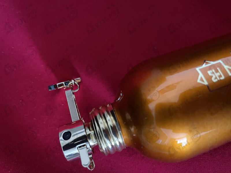 Отзывы Montale Orange Aoud