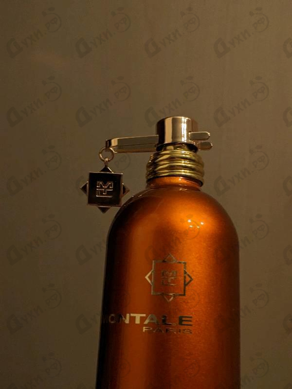 Отзывы Montale Orange Aoud