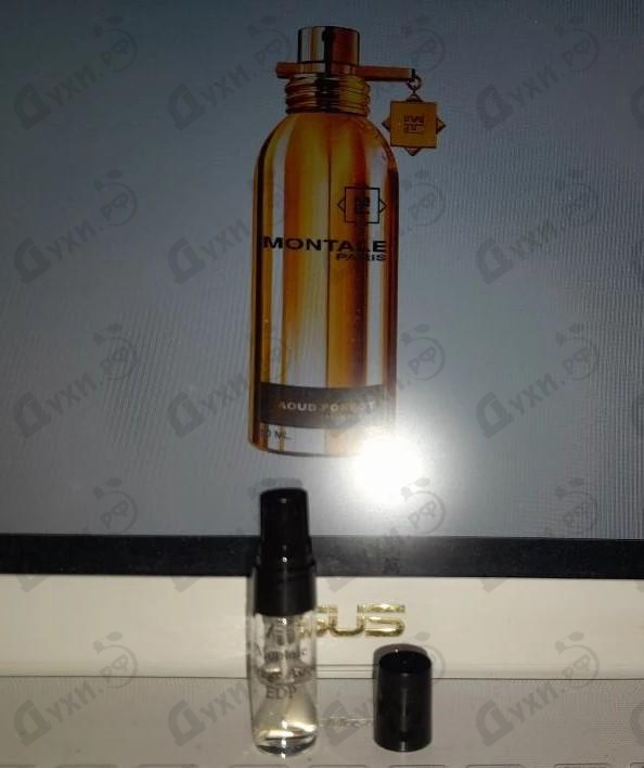 Парфюмерия Orange Aoud от Montale