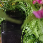 Парфюм Rouge Bunny Rouge Cynefin