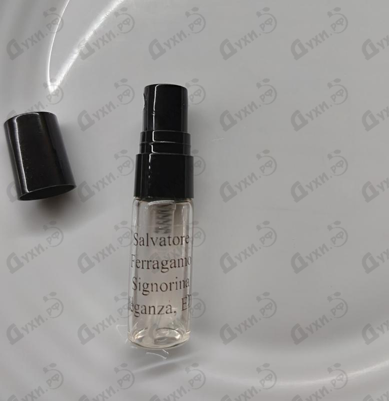 Купить Signorina Eleganza от Salvatore Ferragamo