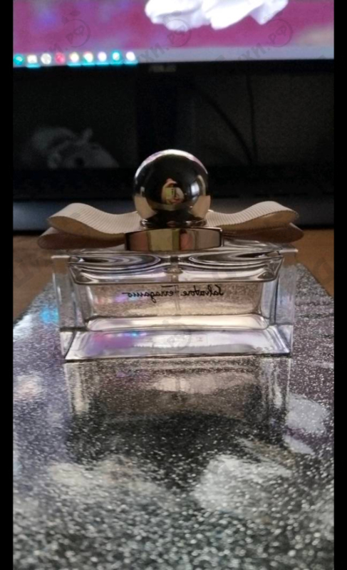 Купить Signorina Eleganza от Salvatore Ferragamo