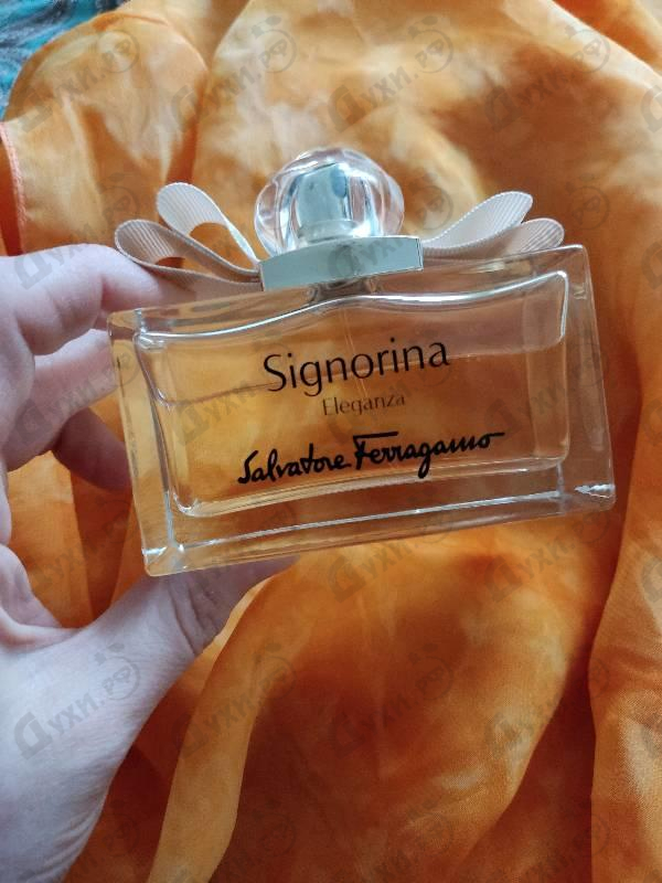 Парфюмерия Salvatore Ferragamo Signorina Eleganza