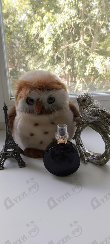 Парфюмерия Oud Assoluto от Valentino