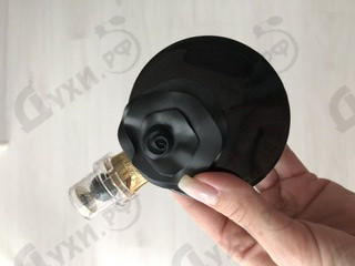 Духи Oud Assoluto от Valentino