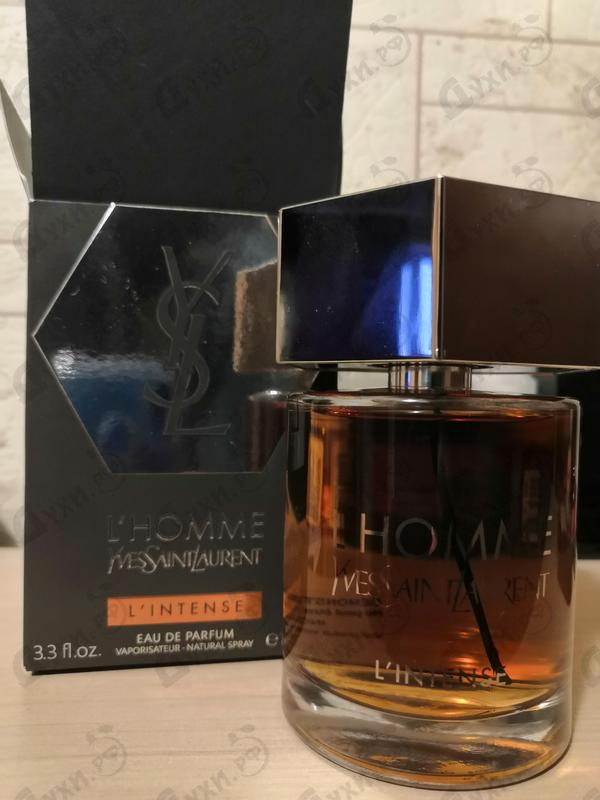 Парфюмерия L'homme Intense от Yves Saint Laurent Отзывы Yves Saint Laurent L'homme Intense