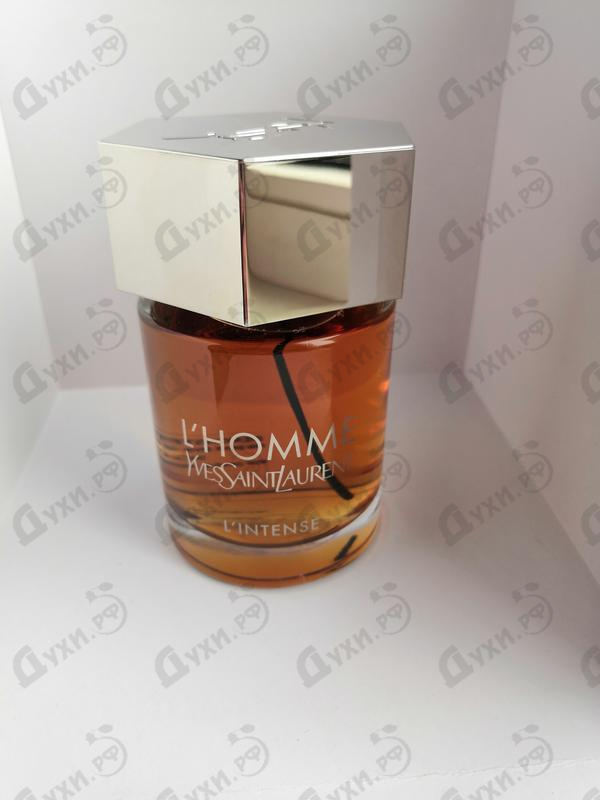 Купить Yves Saint Laurent L'homme Intense Купить L'homme Intense от Yves Saint Laurent