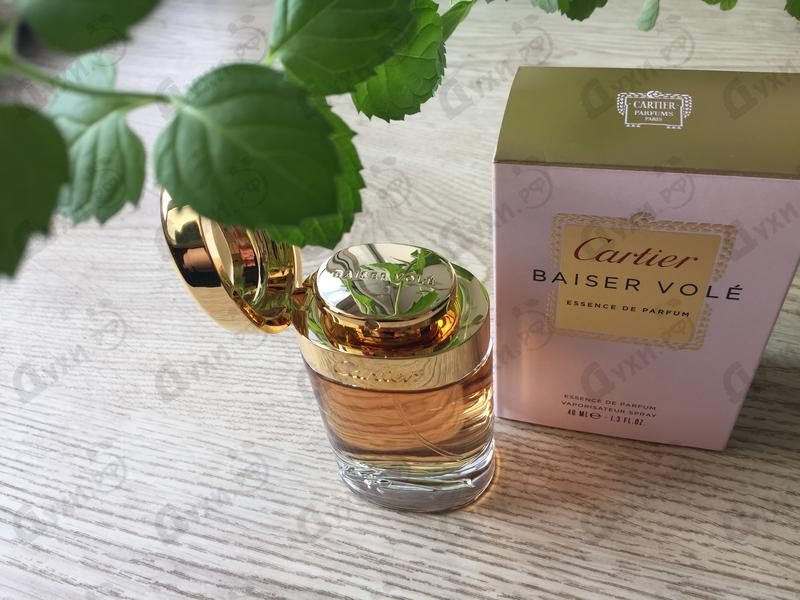 Купить Baiser Vole Essence De Parfum от Cartier Купить Cartier Baiser Vole Essence De Parfum