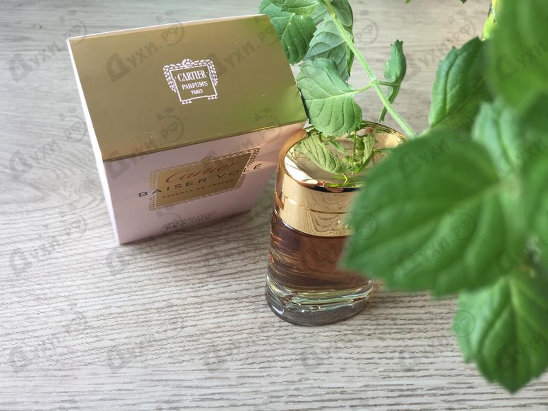Отзывы Cartier Baiser Vole Essence De Parfum Купить Baiser Vole Essence De Parfum от Cartier