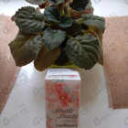 Духи Anais Anais L'original от Cacharel