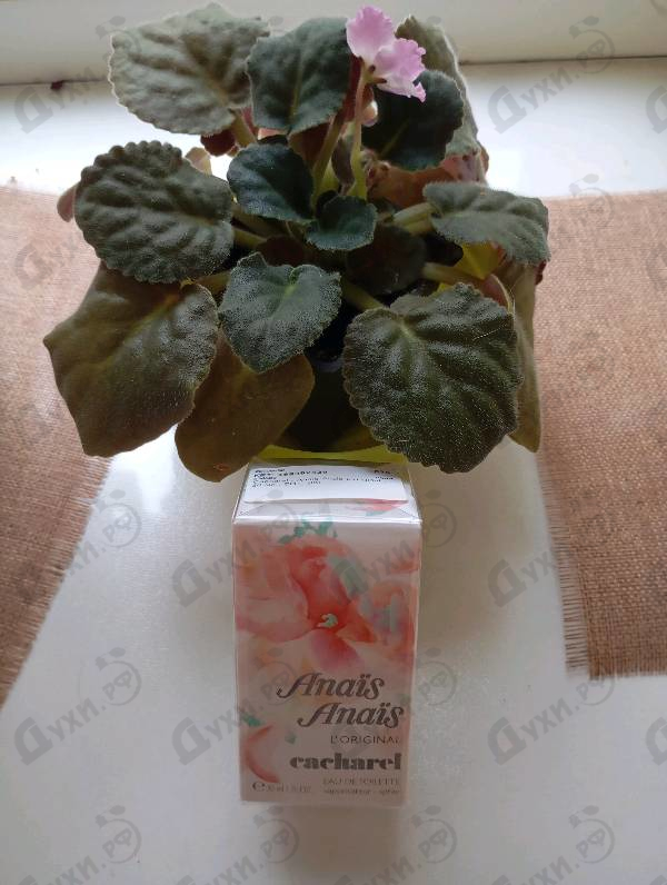 Духи Anais Anais L'original от Cacharel