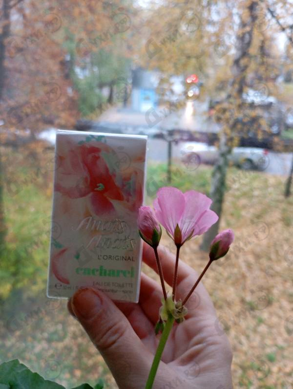 Духи Anais Anais L'original от Cacharel