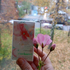 Духи Anais Anais L'original от Cacharel