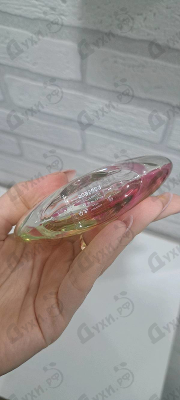 Купить Incanto Amity от Salvatore Ferragamo