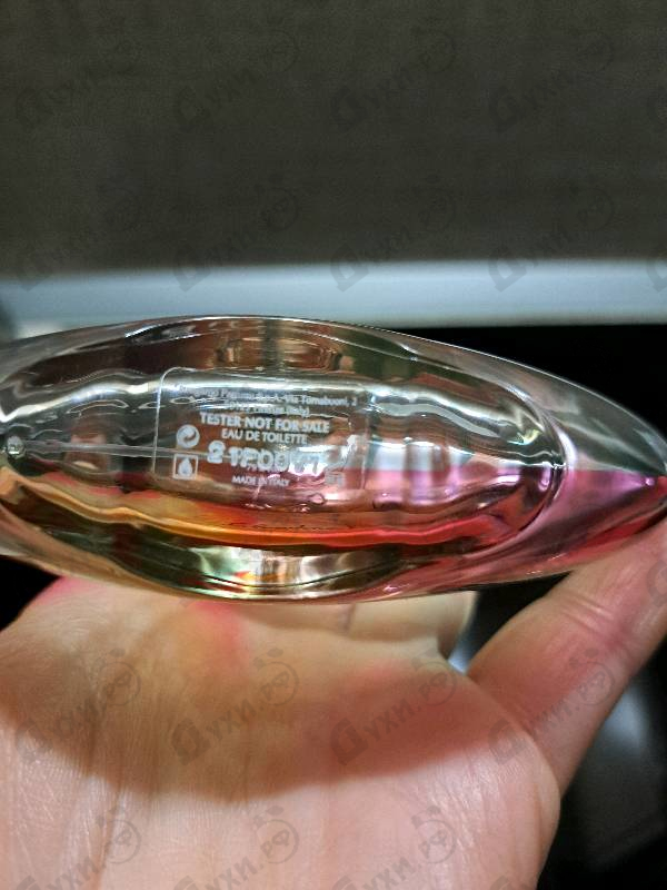 Купить Incanto Amity от Salvatore Ferragamo