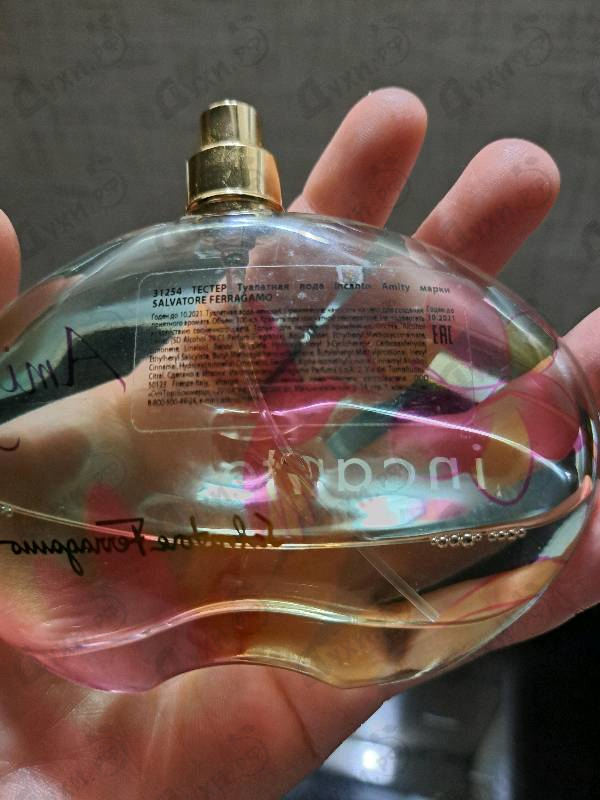 Купить Incanto Amity от Salvatore Ferragamo