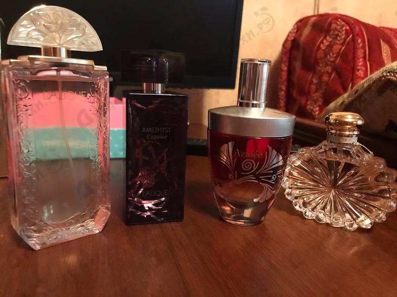 Отзывы Lalique Azalee Духи Azalee от Lalique
