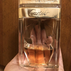 Отзывы Cartier La Panthere
