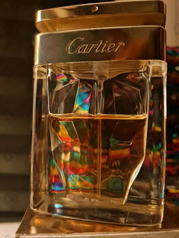 Купить Cartier La Panthere