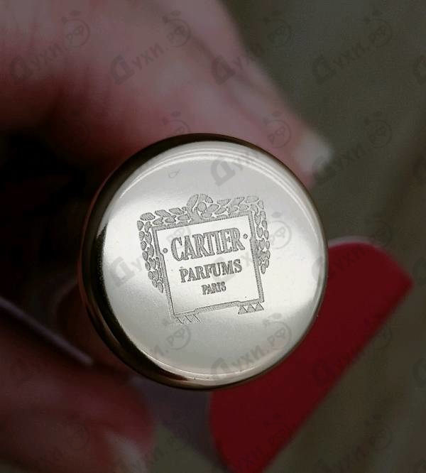 Отзыв Cartier La Panthere