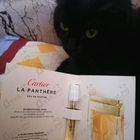 Отзыв Cartier La Panthere