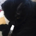 Отзывы Cartier La Panthere