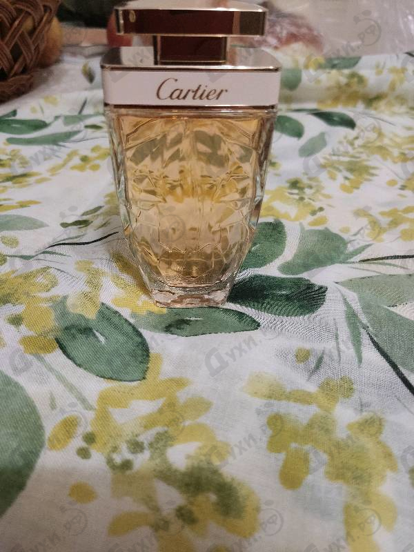 Отзывы Cartier La Panthere