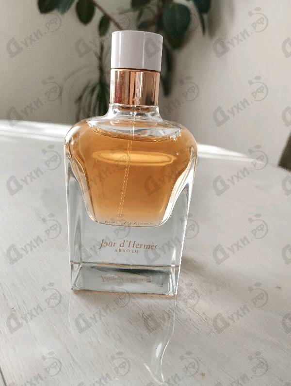 Купить Jour D'hermes Absolu от Hermes