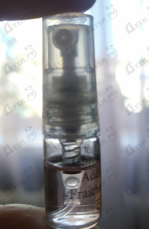 Купить Addict Eau Fraiche (2014) от Christian Dior Купить Christian Dior Addict Eau Fraiche (2014)