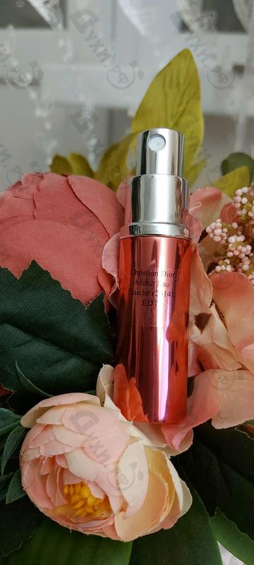 Отзывы Christian Dior Addict Eau Fraiche (2014) Духи Addict Eau Fraiche (2014) от Christian Dior