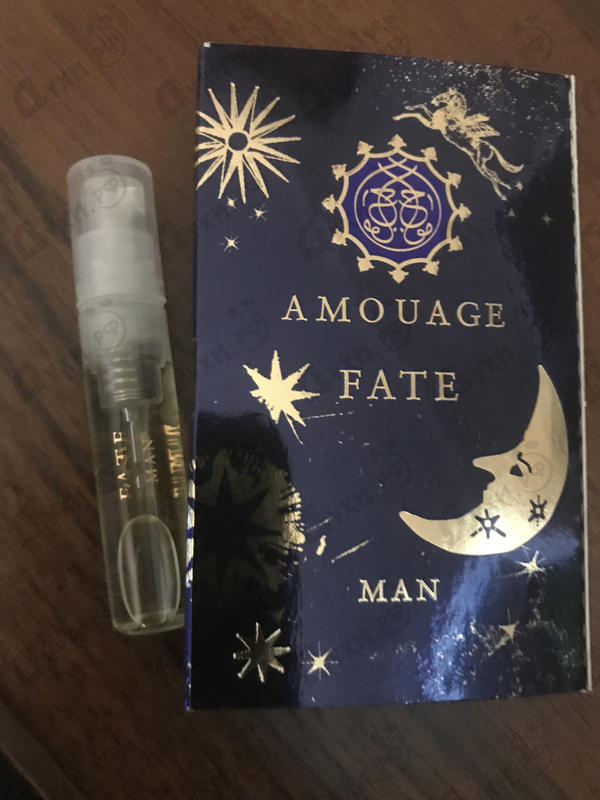 Купить Fate от Amouage