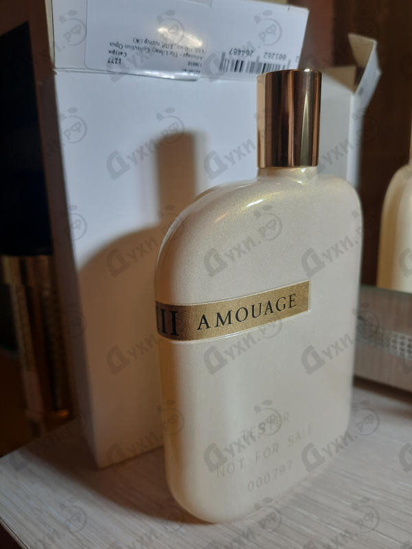 Купить The Library Collection Opus VIII от Amouage