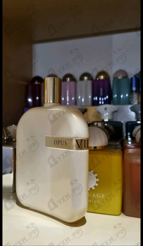 Купить The Library Collection Opus VIII от Amouage