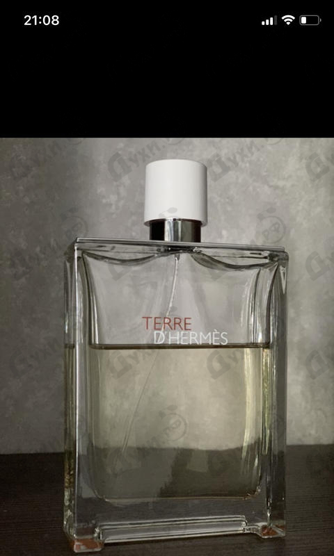 Духи Terre D'hermes Eau Tres Fraiche от Hermes Отзыв Hermes Terre D'hermes Eau Tres Fraiche