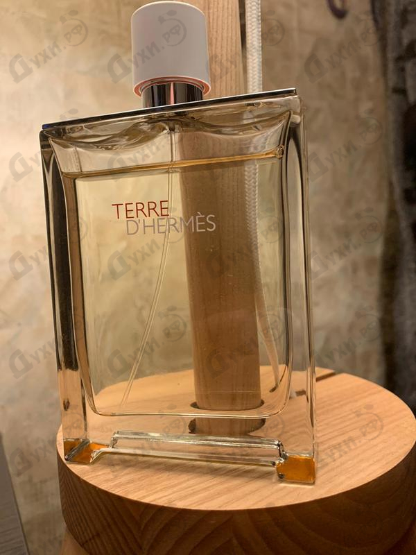 Отзыв Hermes Terre D'hermes Eau Tres Fraiche