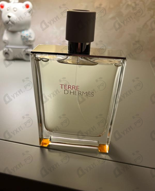 Духи Terre D'hermes Eau Tres Fraiche от Hermes Купить Hermes Terre D'hermes Eau Tres Fraiche